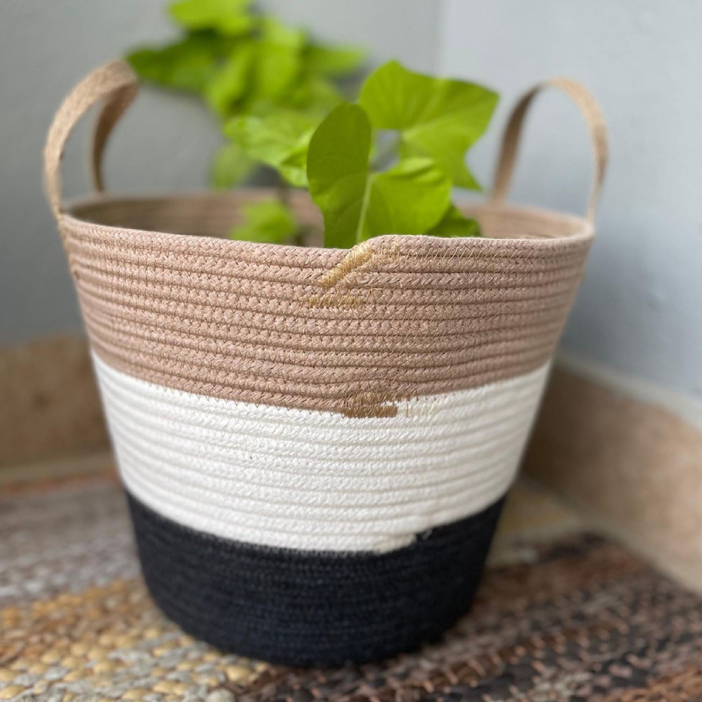 Multipurpose Basket